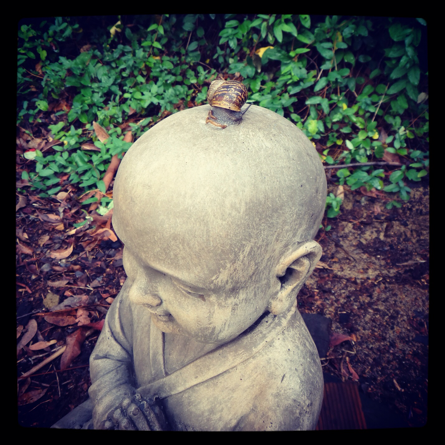 A snail looking down from atop the buddha's head! :)