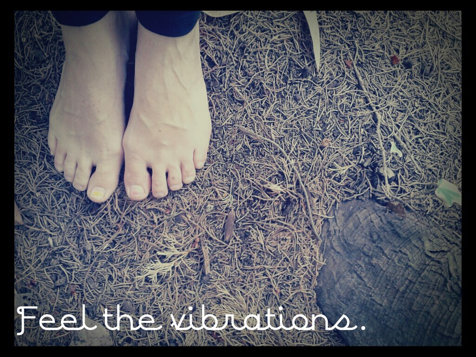 Feel the Vibrations